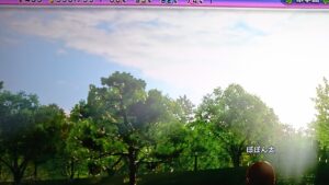 #119 居酒屋ぽぽん太深夜営業中【newみんなのゴルフ】