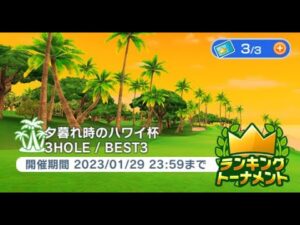 みんゴル　夕暮れ時のハワイ杯